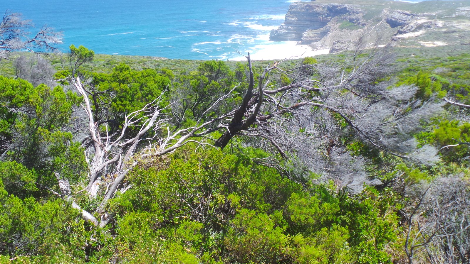 Cape Point27